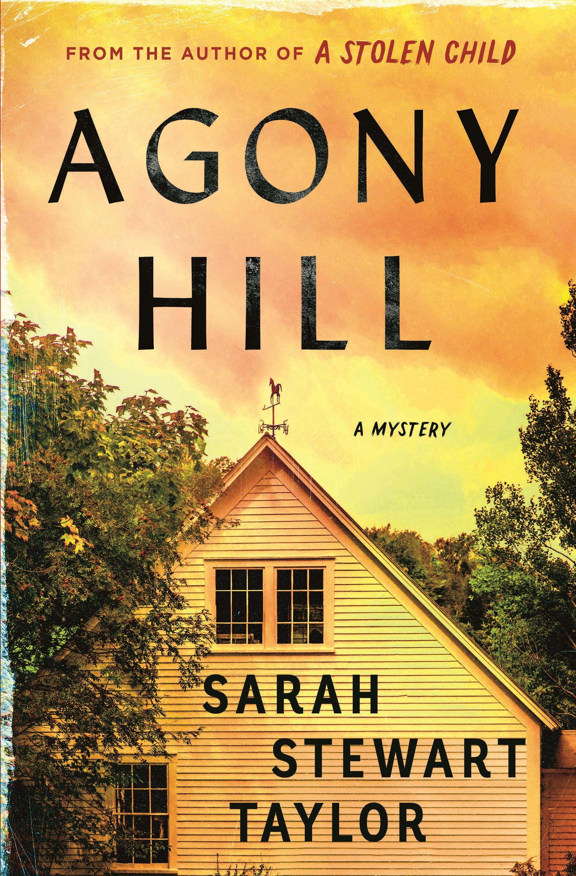 Agony Hill book cover