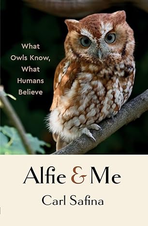 Alfie and Me Book Cover