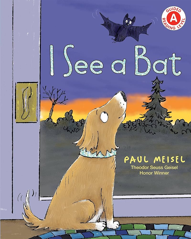 Book Cover of I See a Bat by Paul Meisel