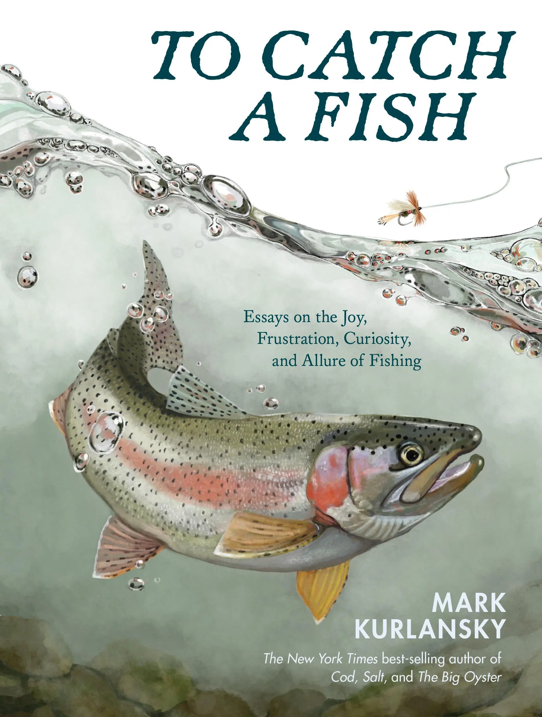 To Catch a Fish book cover