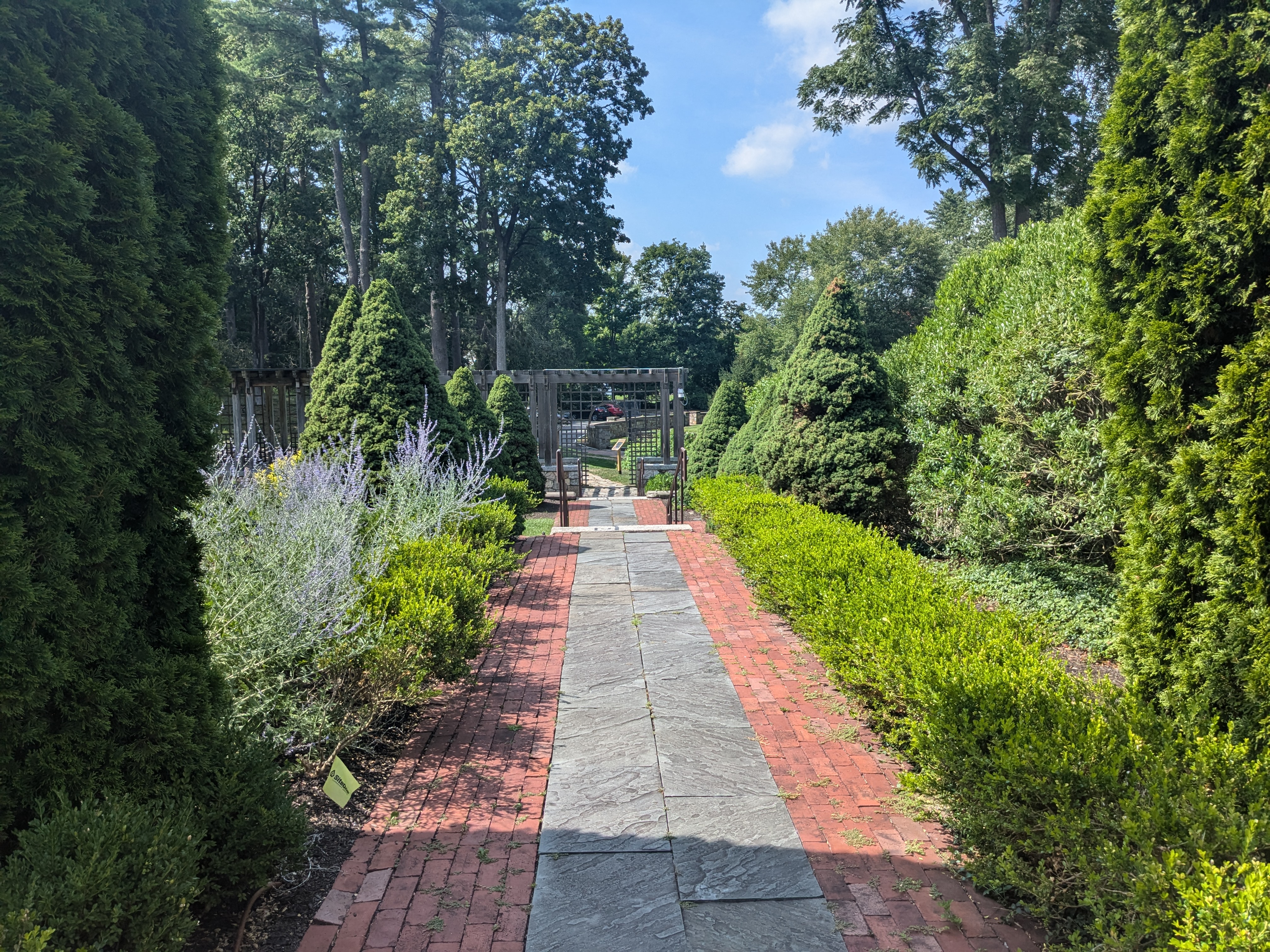 Garden walkway.1