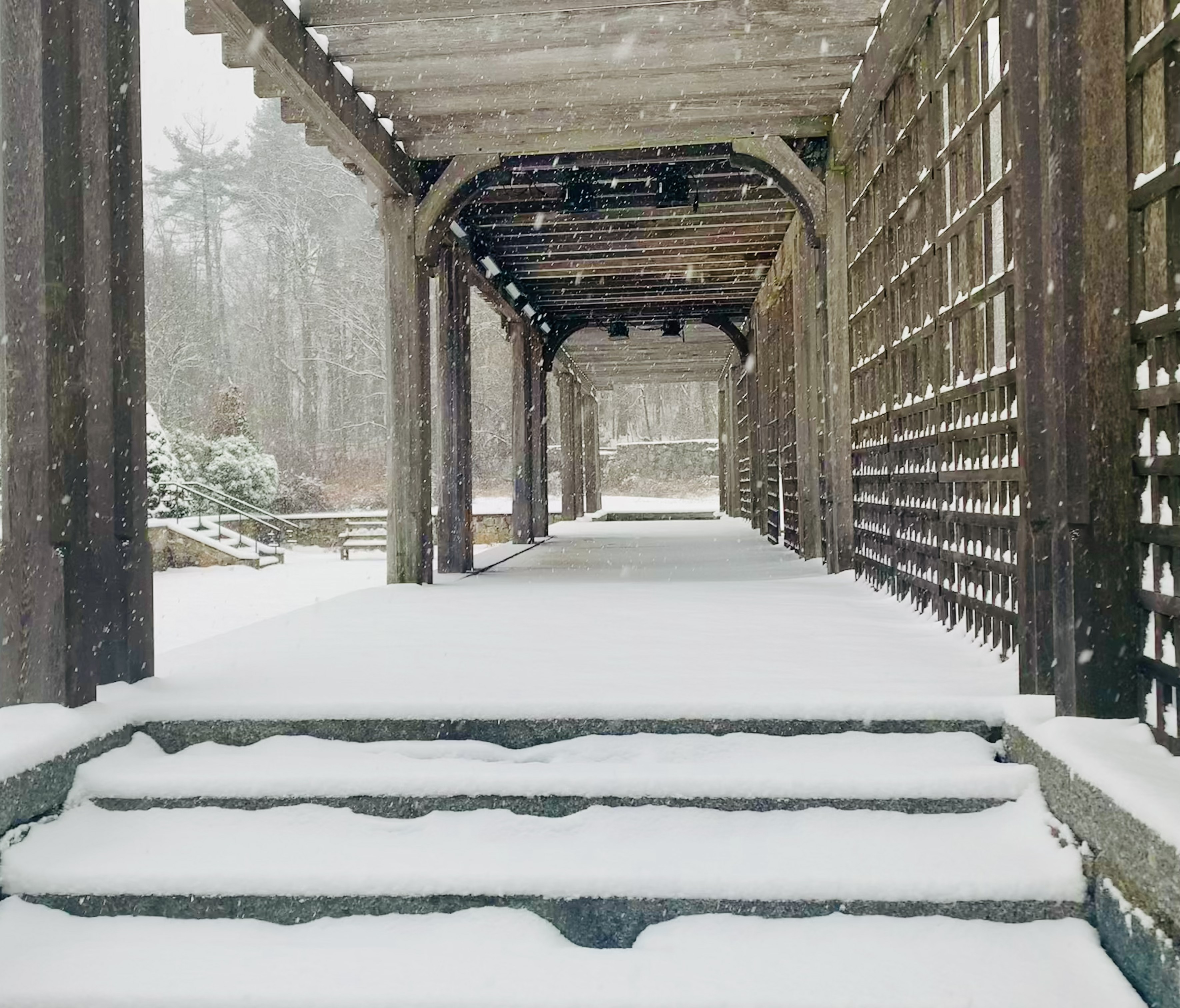 Garden pergola in winter