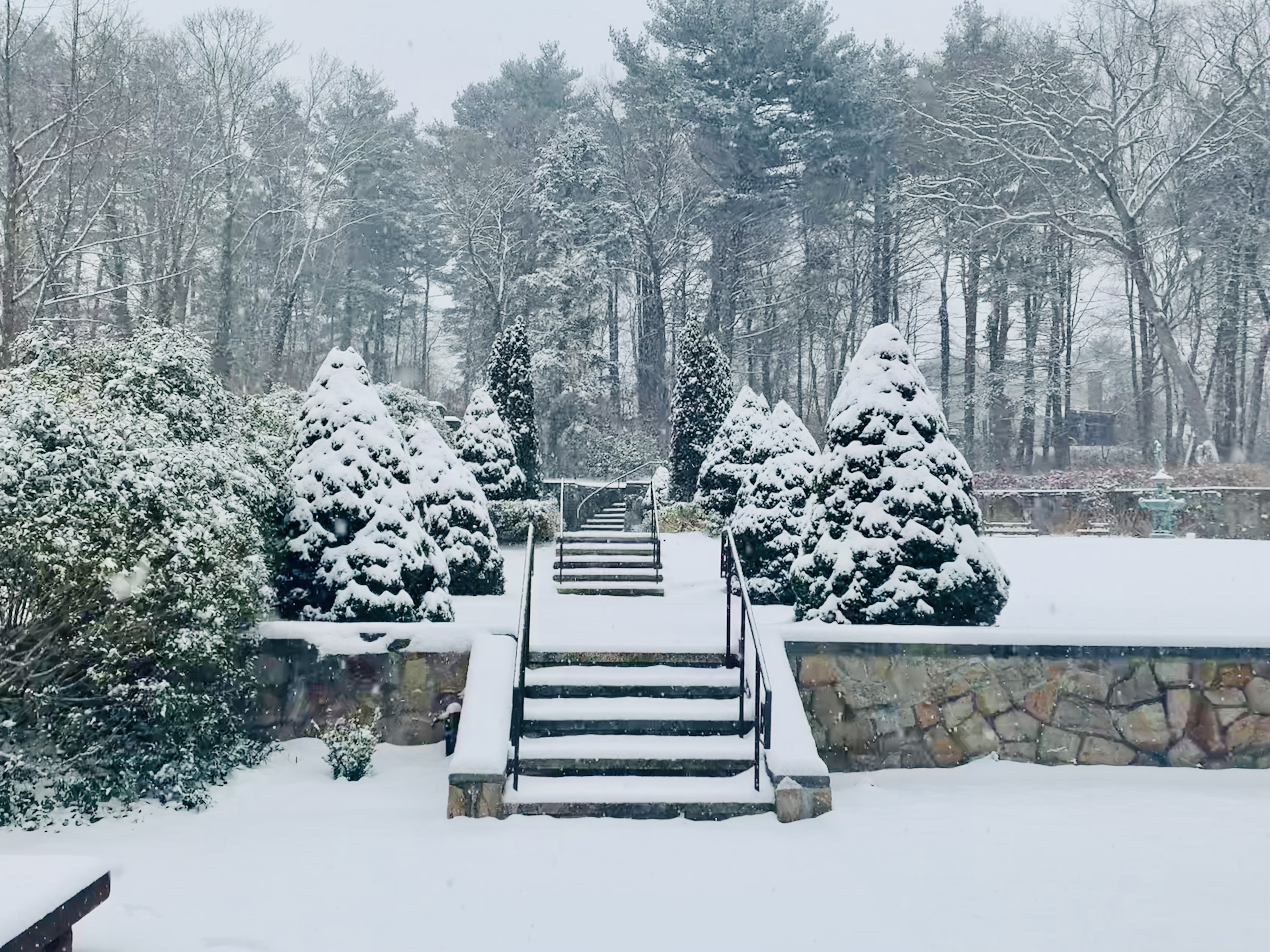 Garden in winter