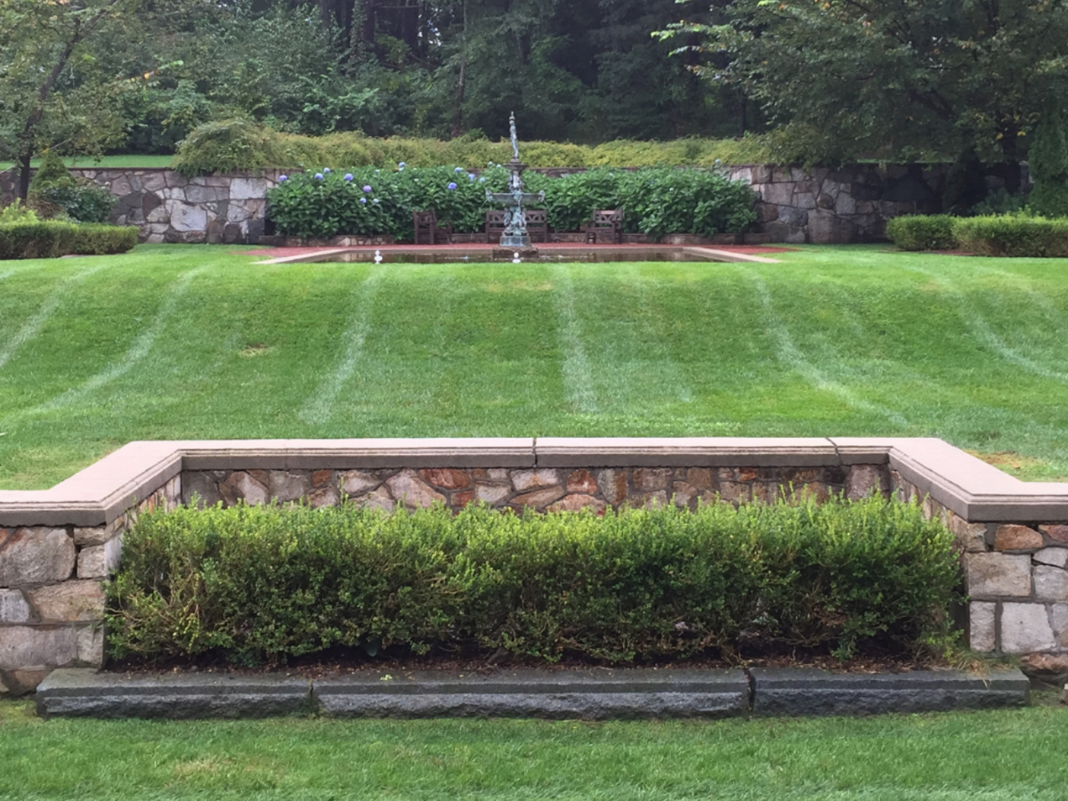 Garden south view