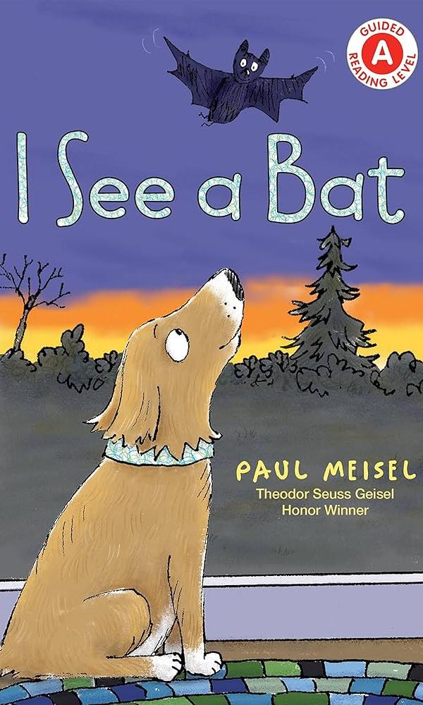 Book Cover of I See a Bat by Paul Meisel