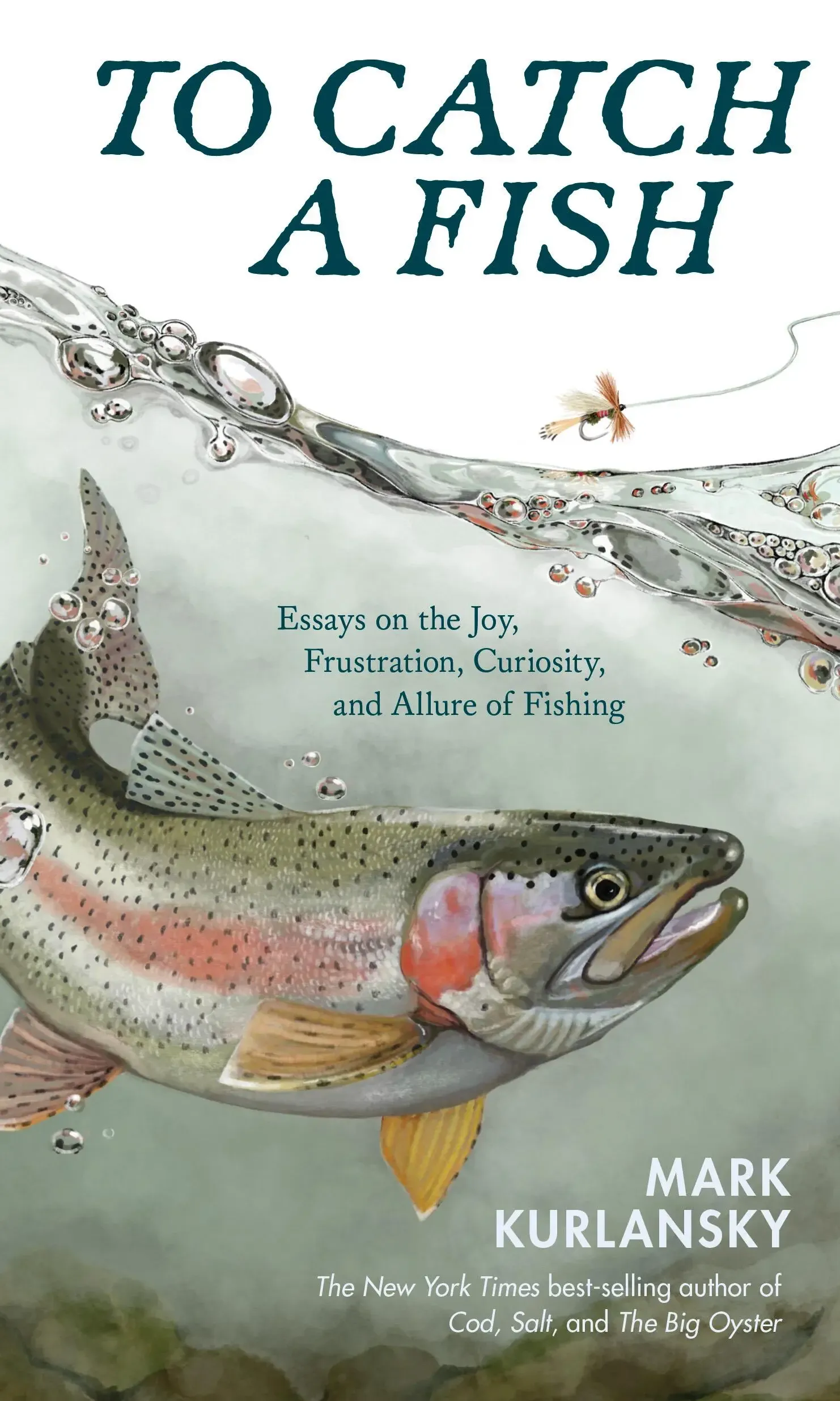 To Catch a Fish book cover