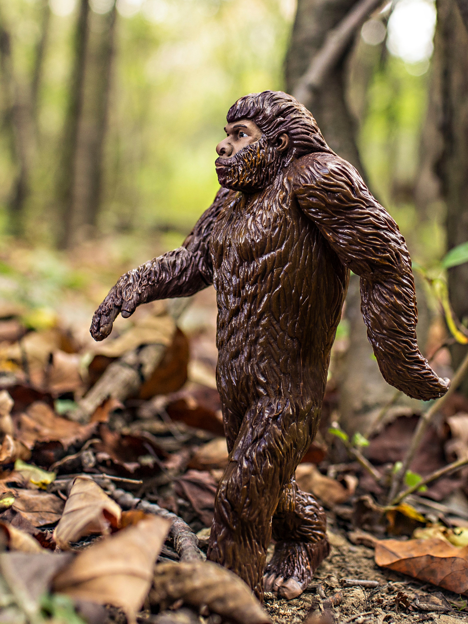 A plastic Bigfoot toy appears to stride through the forest, atop crunchy leaves in the golden light.