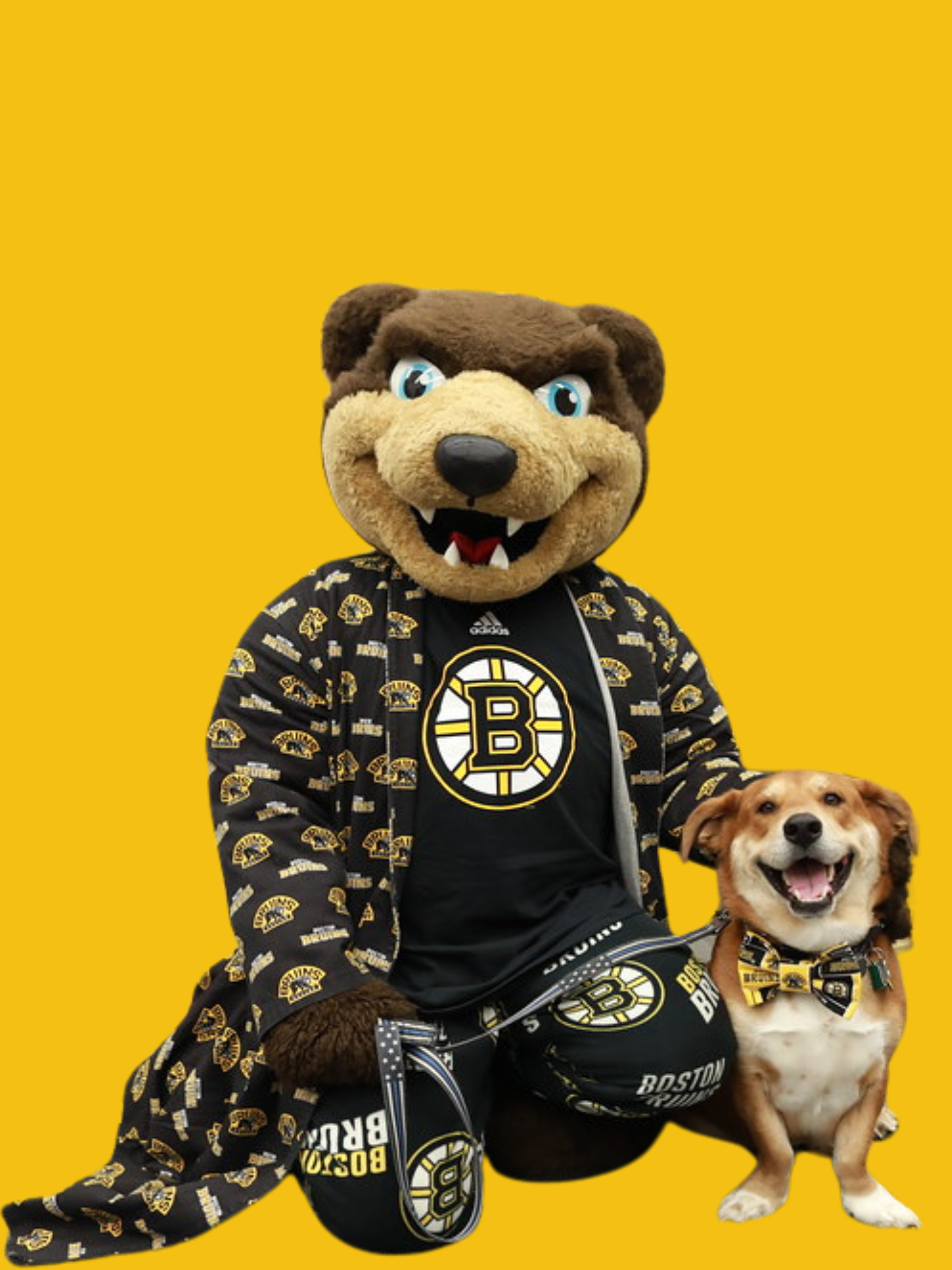 Blades, the Boston Bruins hockey team mascot (a brown bear), sits dressed in pajamas next to an adorable puppy. They are featured against a yellow background.