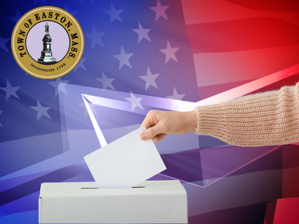 A lady voting