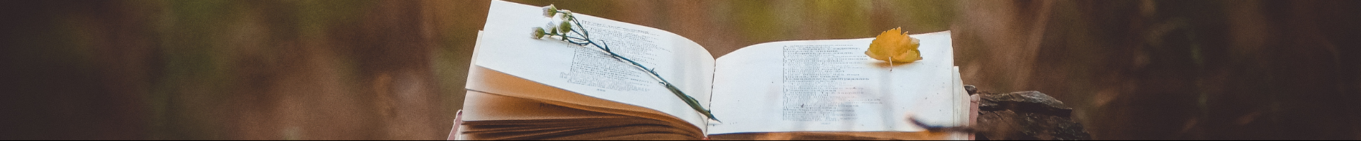 A book open outside during autumn